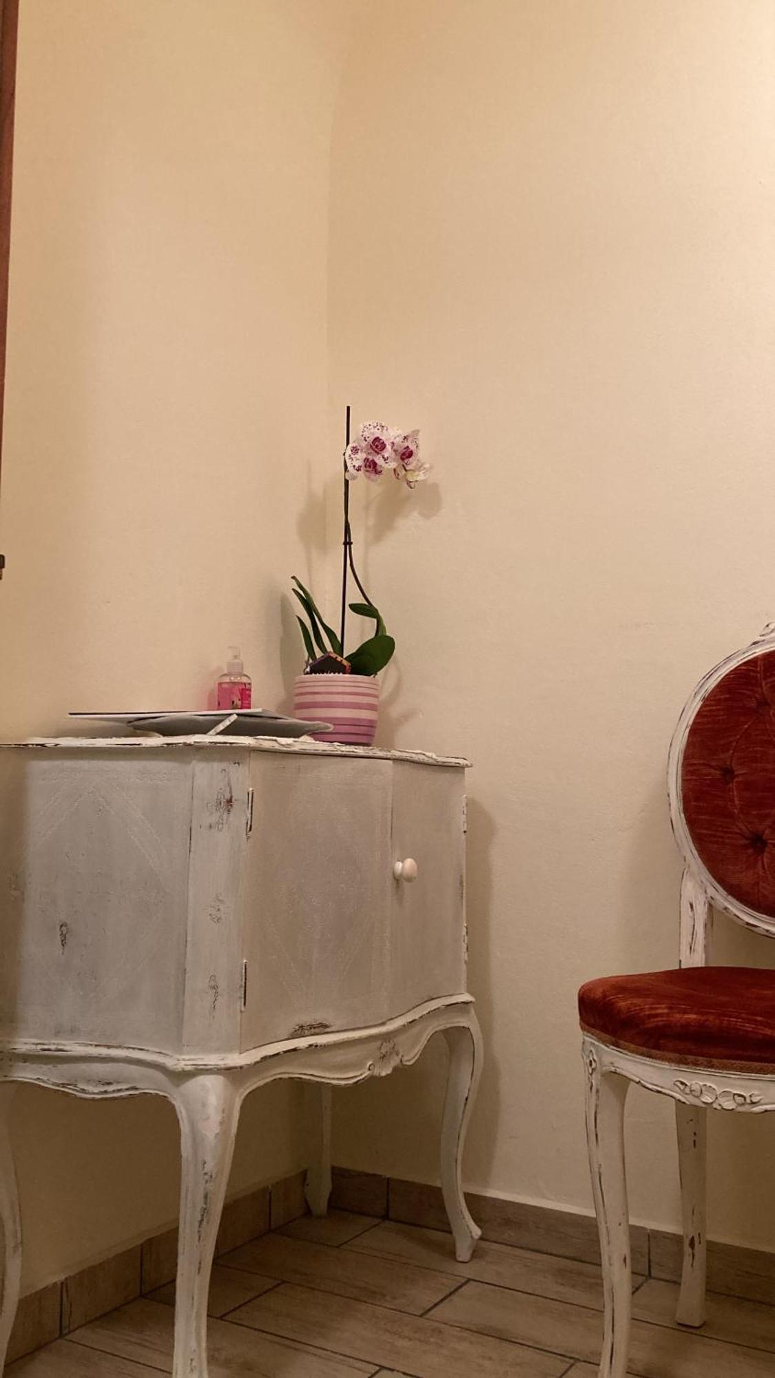 Antica Novi B & B Novi Ligure Bagian luar foto